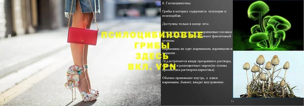 бошки Верхнеуральск